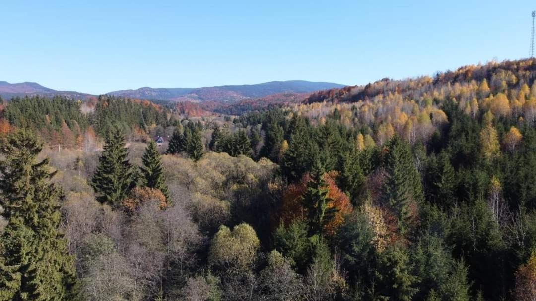 Patakvoelgye Vendeghaz Villa Izvoare  Dış mekan fotoğraf
