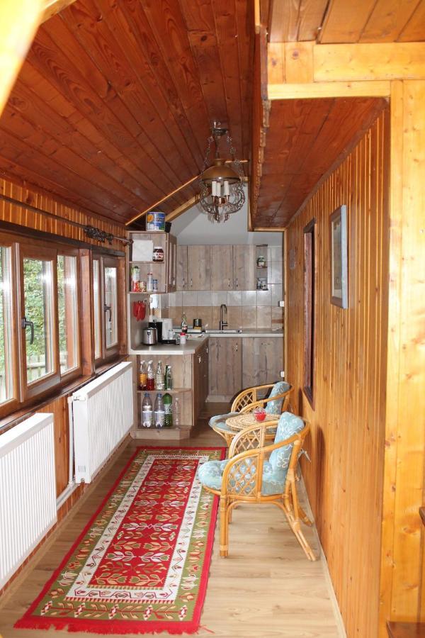 Patakvoelgye Vendeghaz Villa Izvoare  Dış mekan fotoğraf